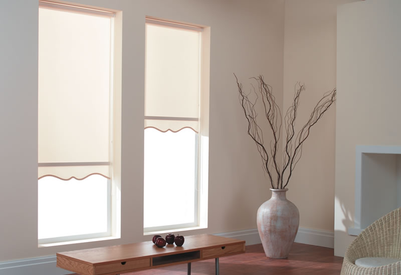 Vinyl Roller Blinds 28